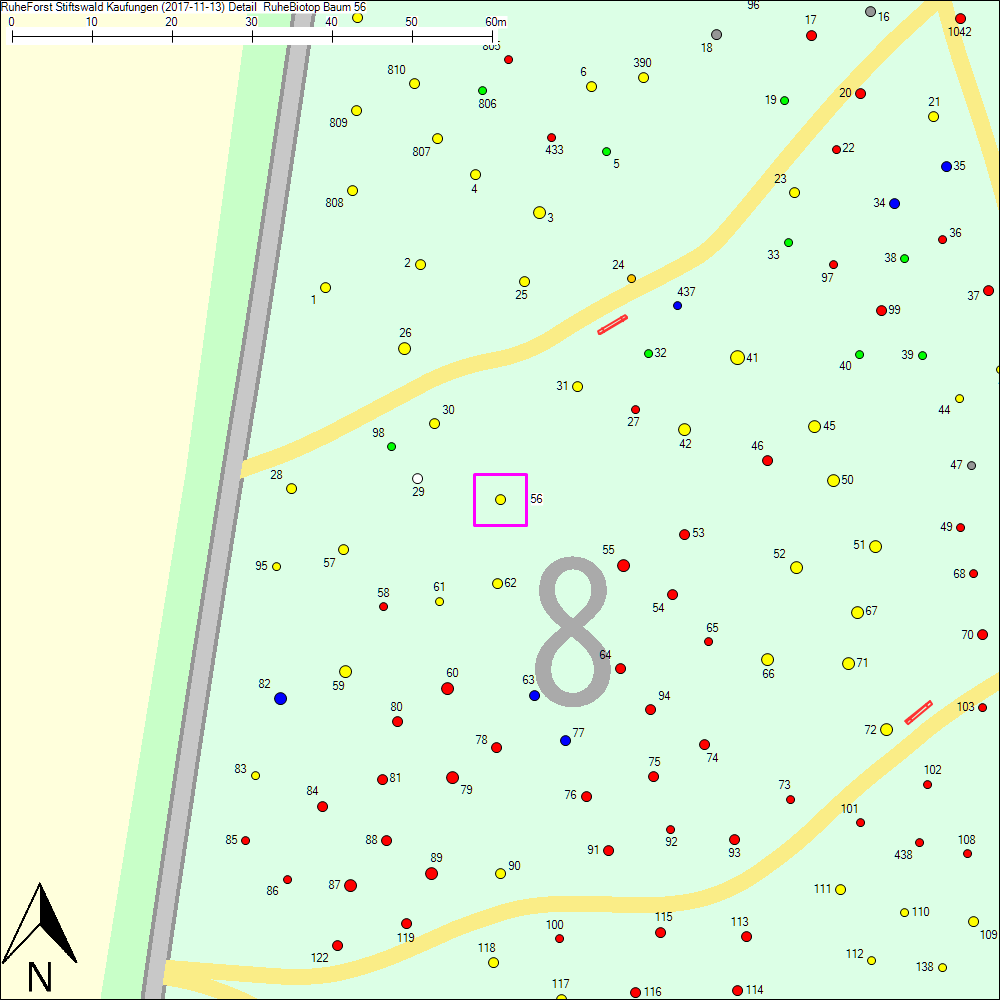 Detailkarte zu Baum 56