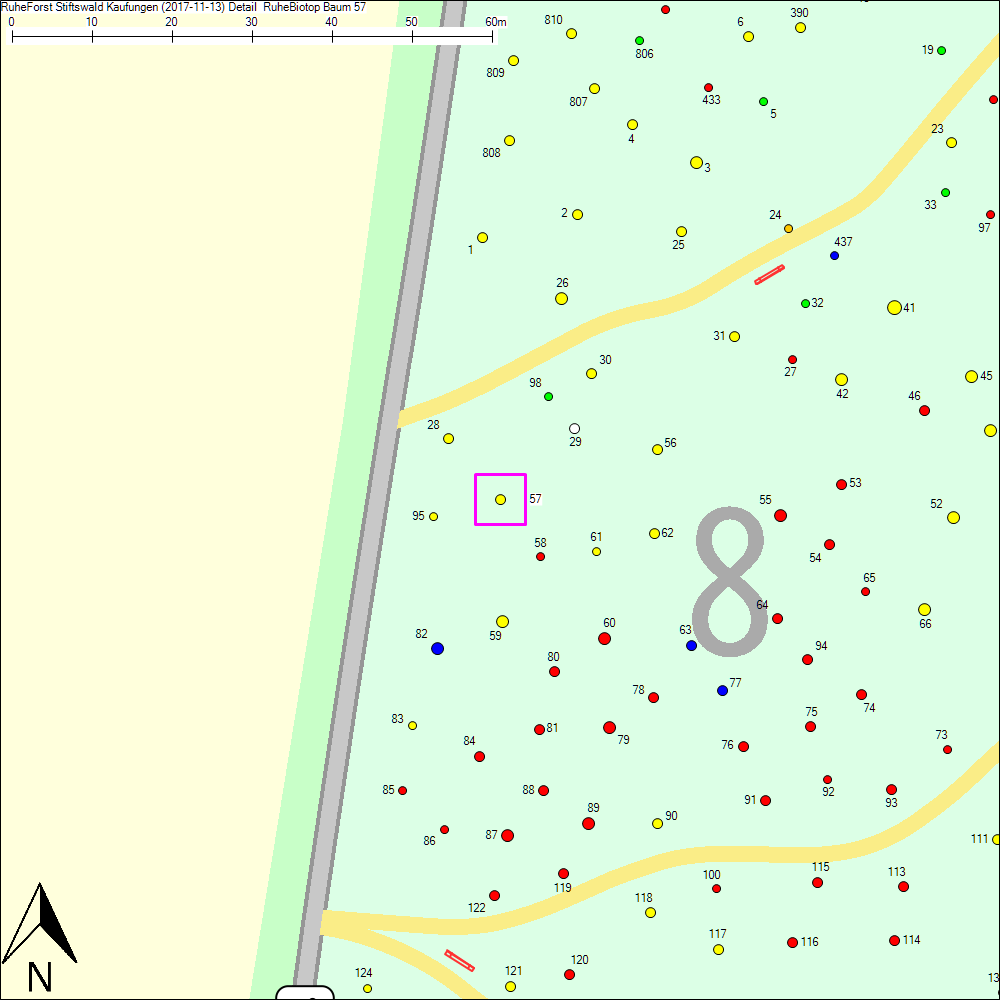 Detailkarte zu Baum 57