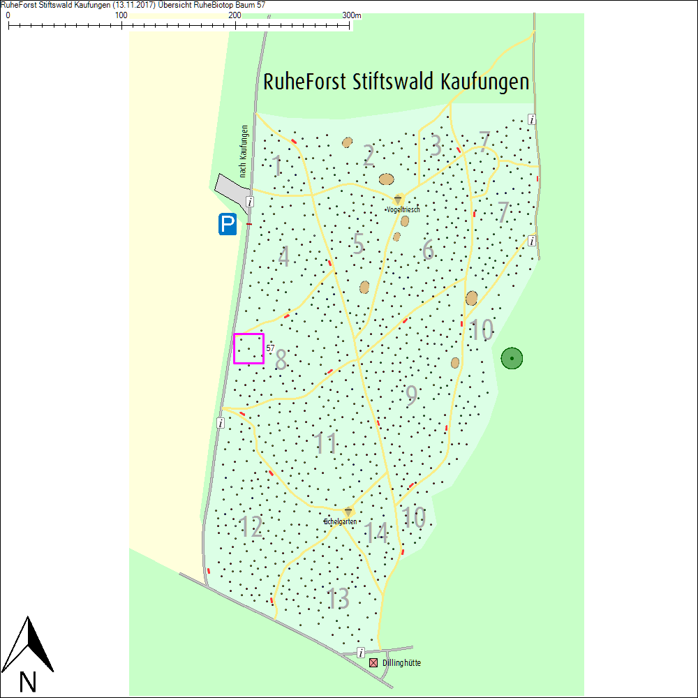 &Uuml;bersichtskarte zu Baum 57