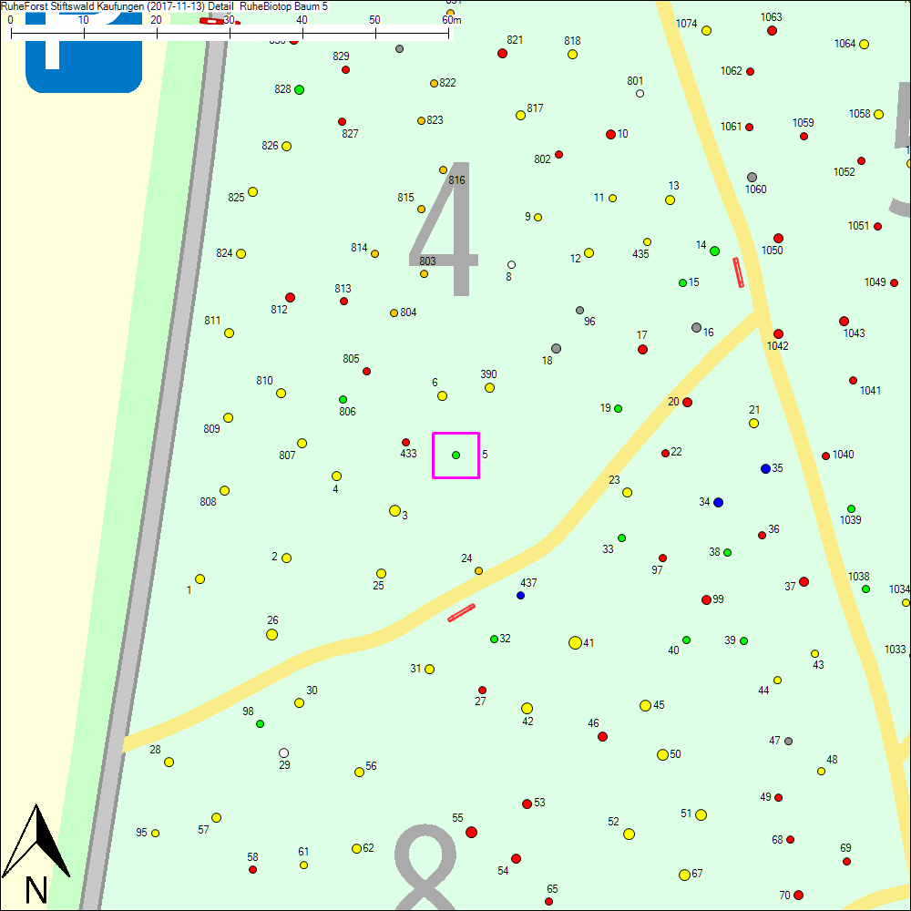 Detailkarte zu Baum 5