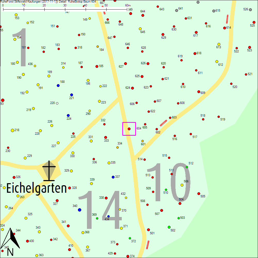 Detailkarte zu Baum 604
