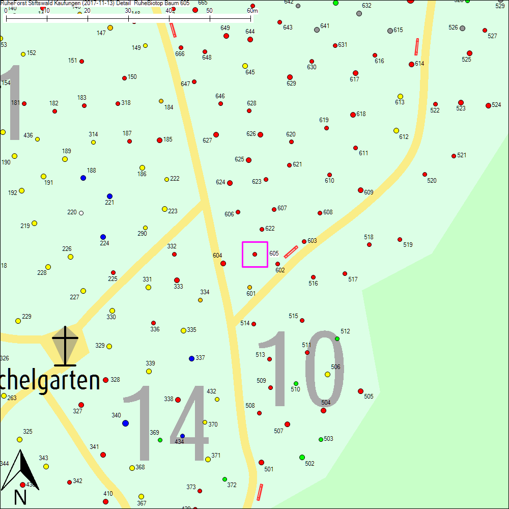 Detailkarte zu Baum 605