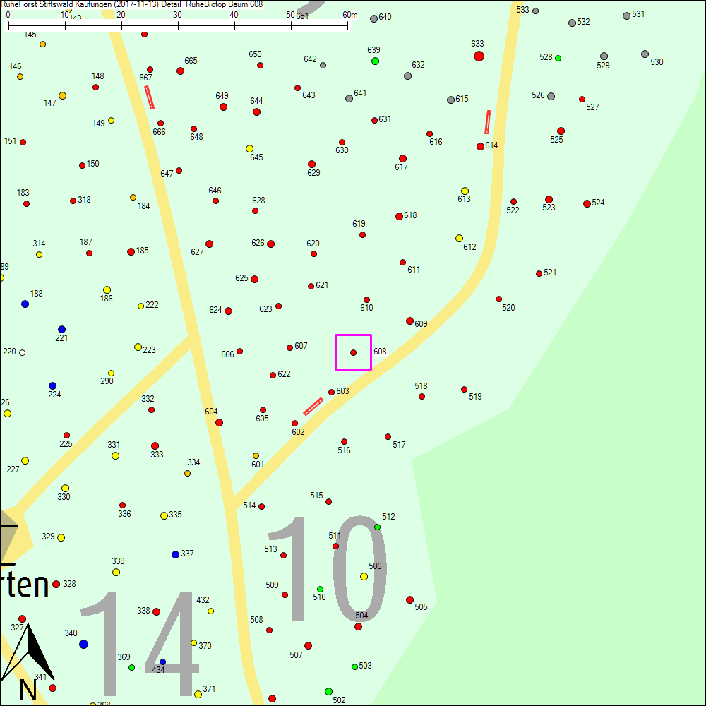Detailkarte zu Baum 608