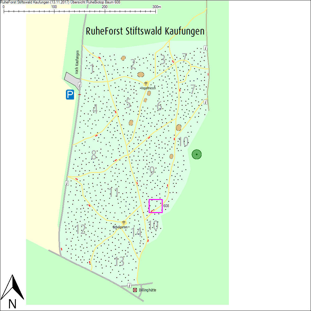 &Uuml;bersichtskarte zu Baum 608