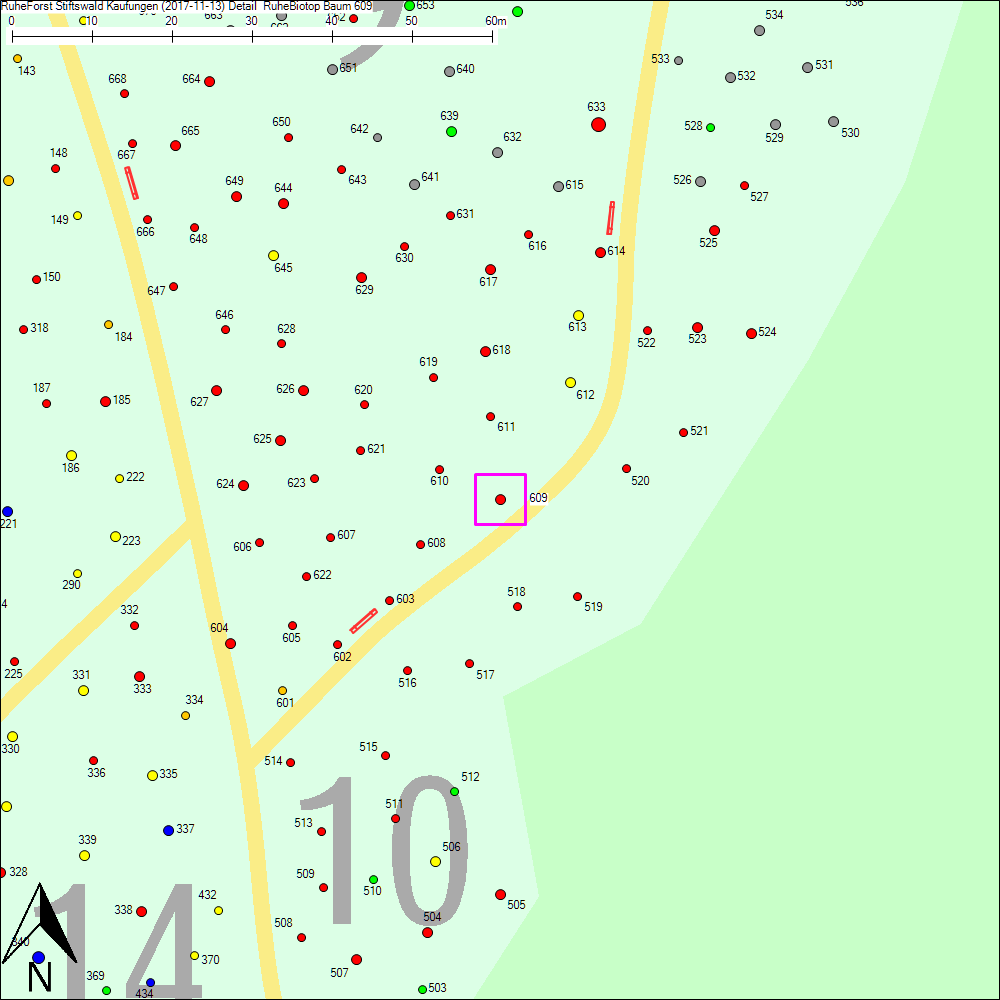 Detailkarte zu Baum 609
