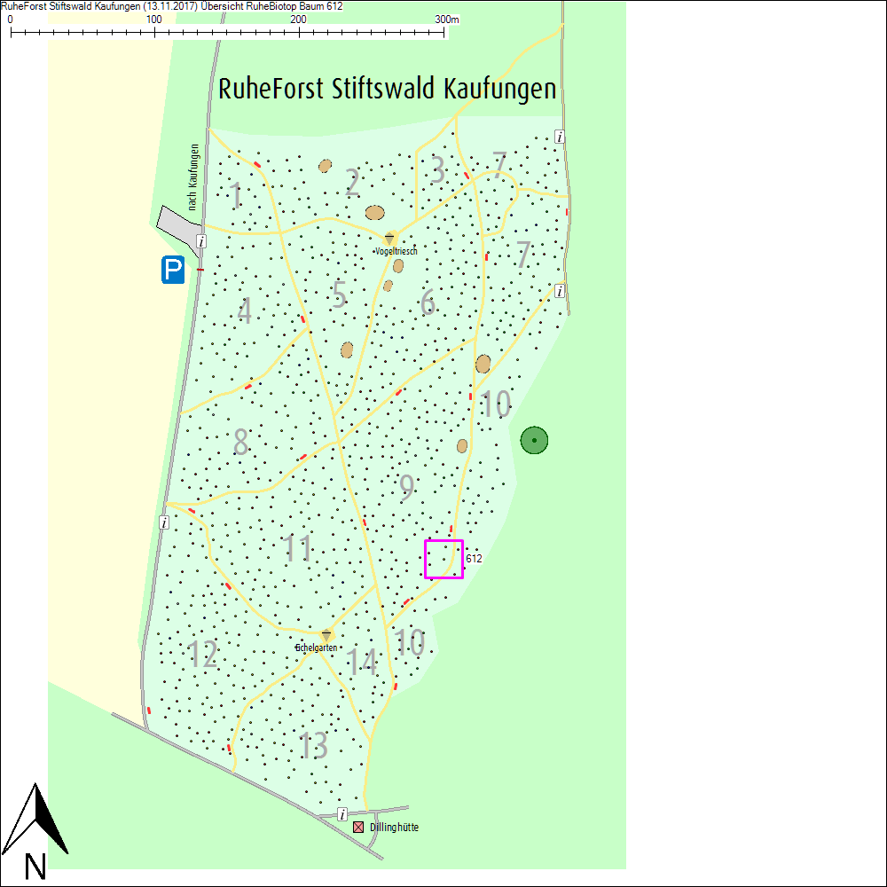 &Uuml;bersichtskarte zu Baum 612