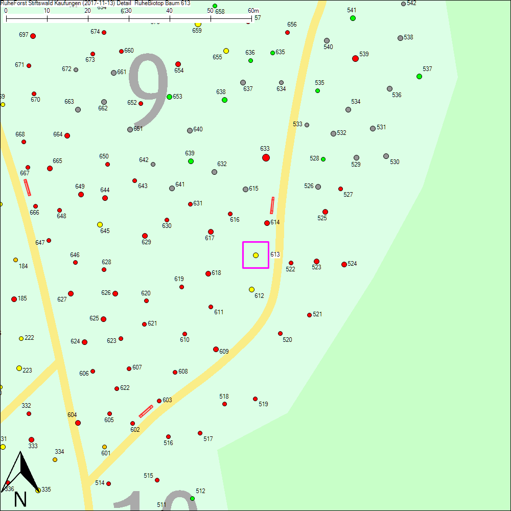Detailkarte zu Baum 613