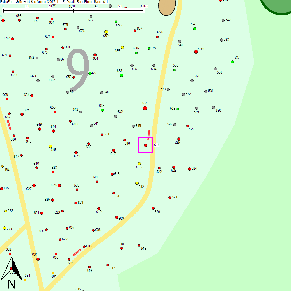 Detailkarte zu Baum 614