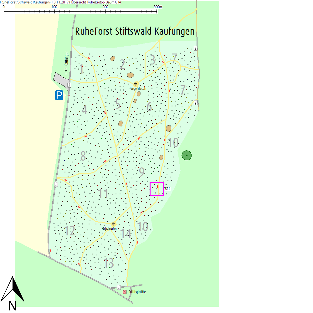 &Uuml;bersichtskarte zu Baum 614