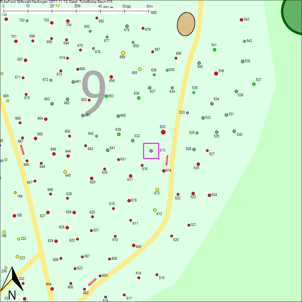Detailkarte zu Baum 615