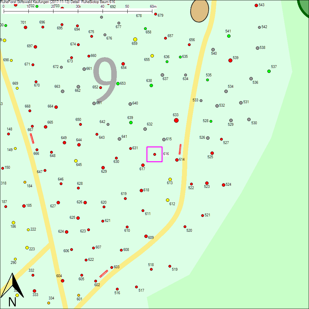 Detailkarte zu Baum 616
