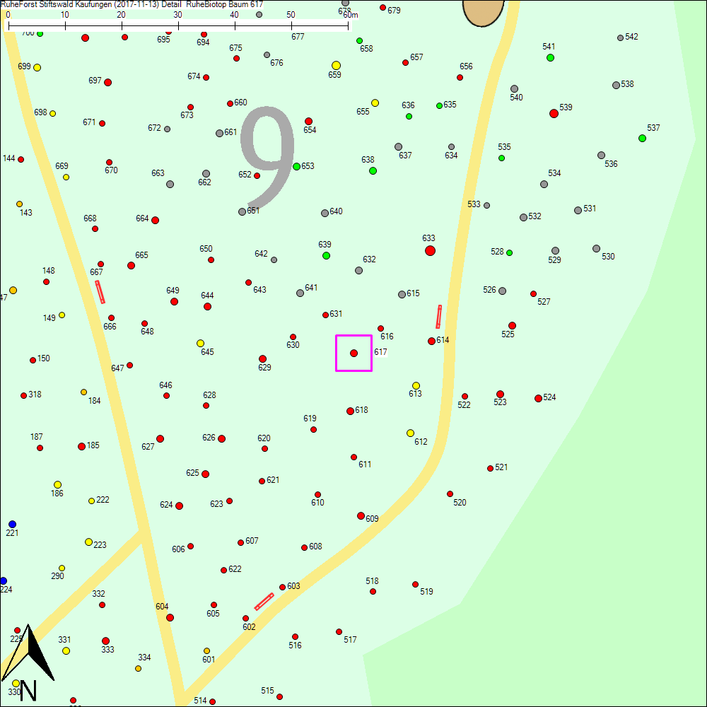 Detailkarte zu Baum 617