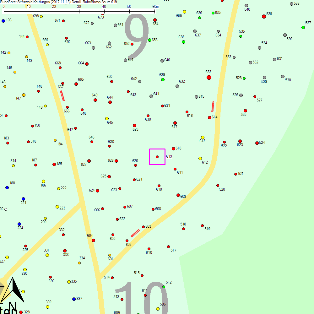 Detailkarte zu Baum 619