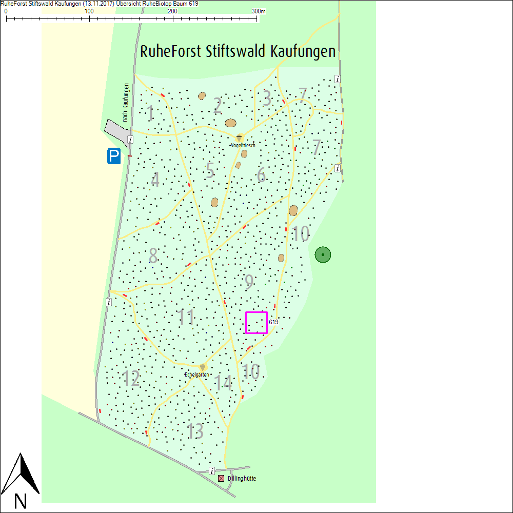 &Uuml;bersichtskarte zu Baum 619