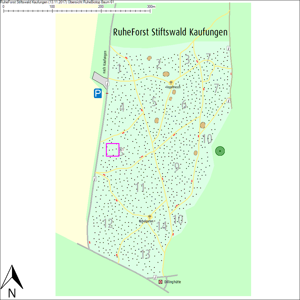 &Uuml;bersichtskarte zu Baum 61