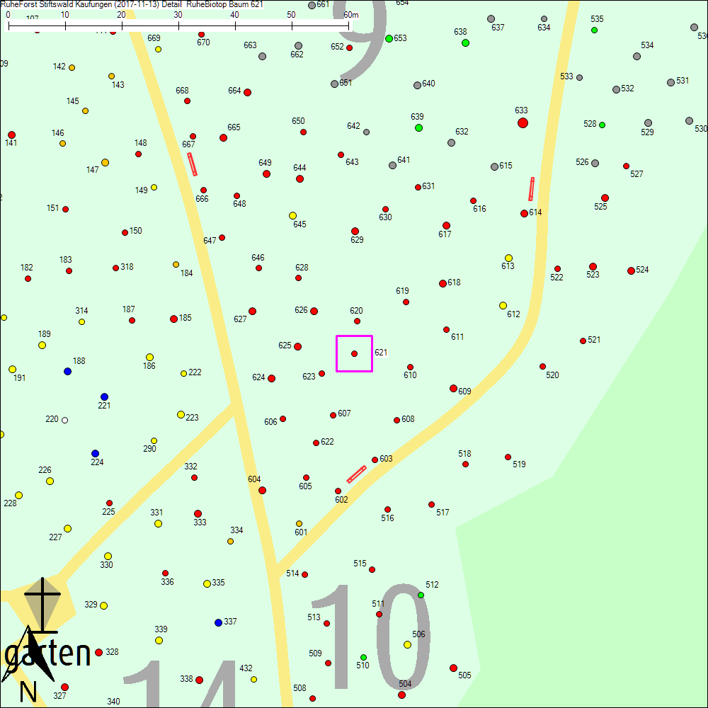 Detailkarte zu Baum 621