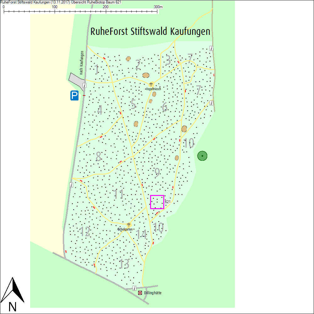 &Uuml;bersichtskarte zu Baum 621