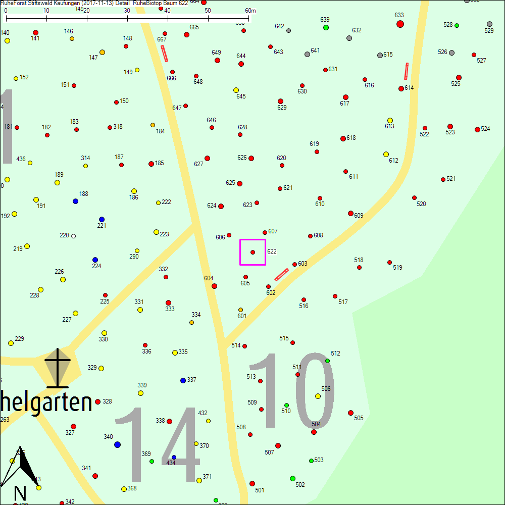 Detailkarte zu Baum 622