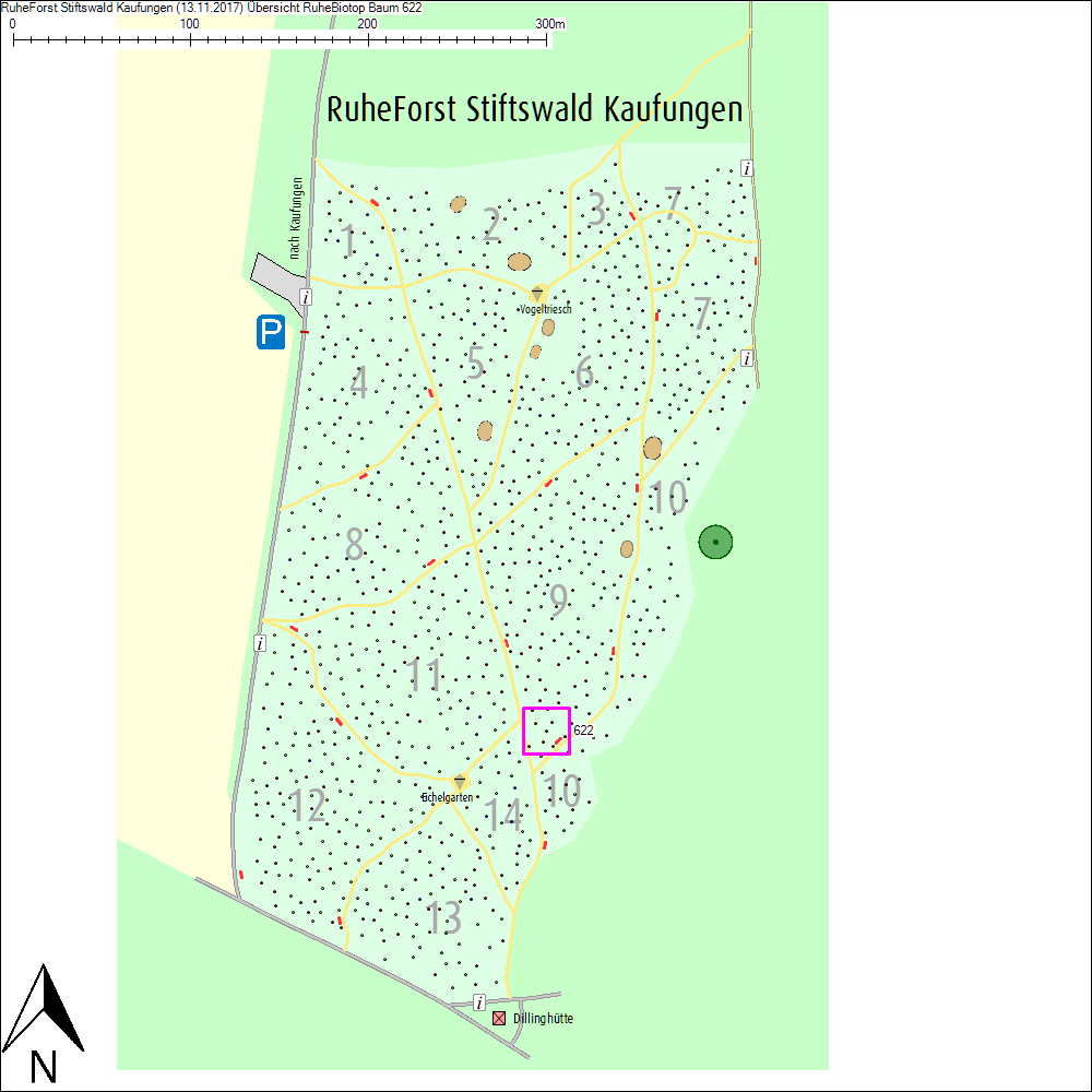&Uuml;bersichtskarte zu Baum 622