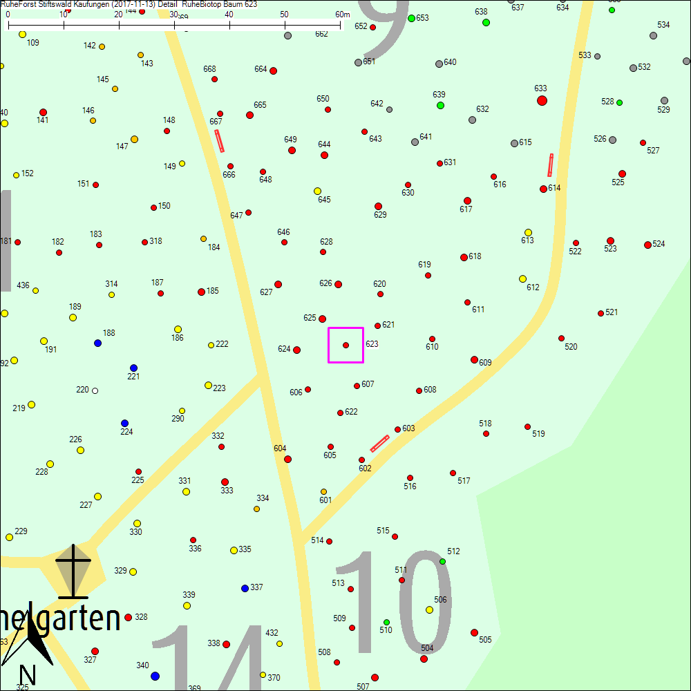 Detailkarte zu Baum 623