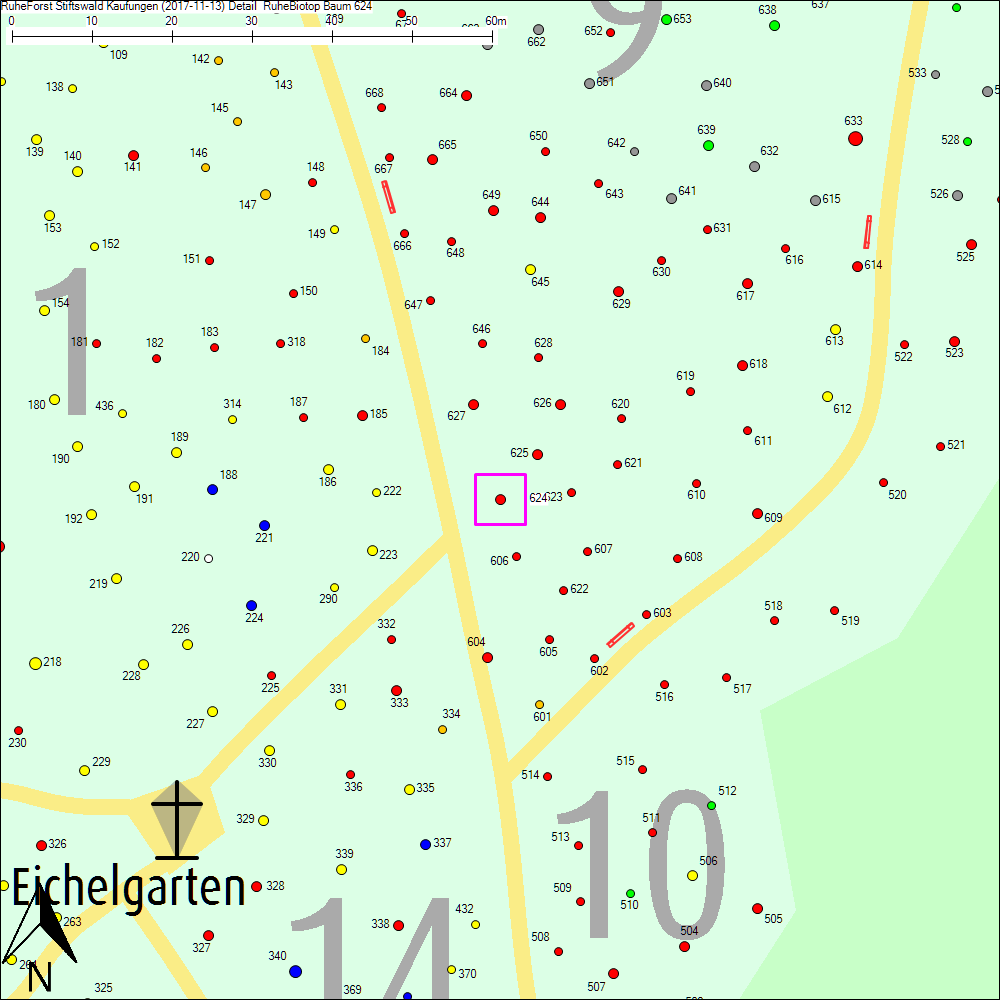 Detailkarte zu Baum 624