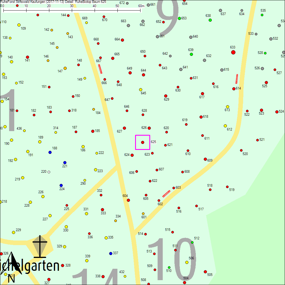 Detailkarte zu Baum 625
