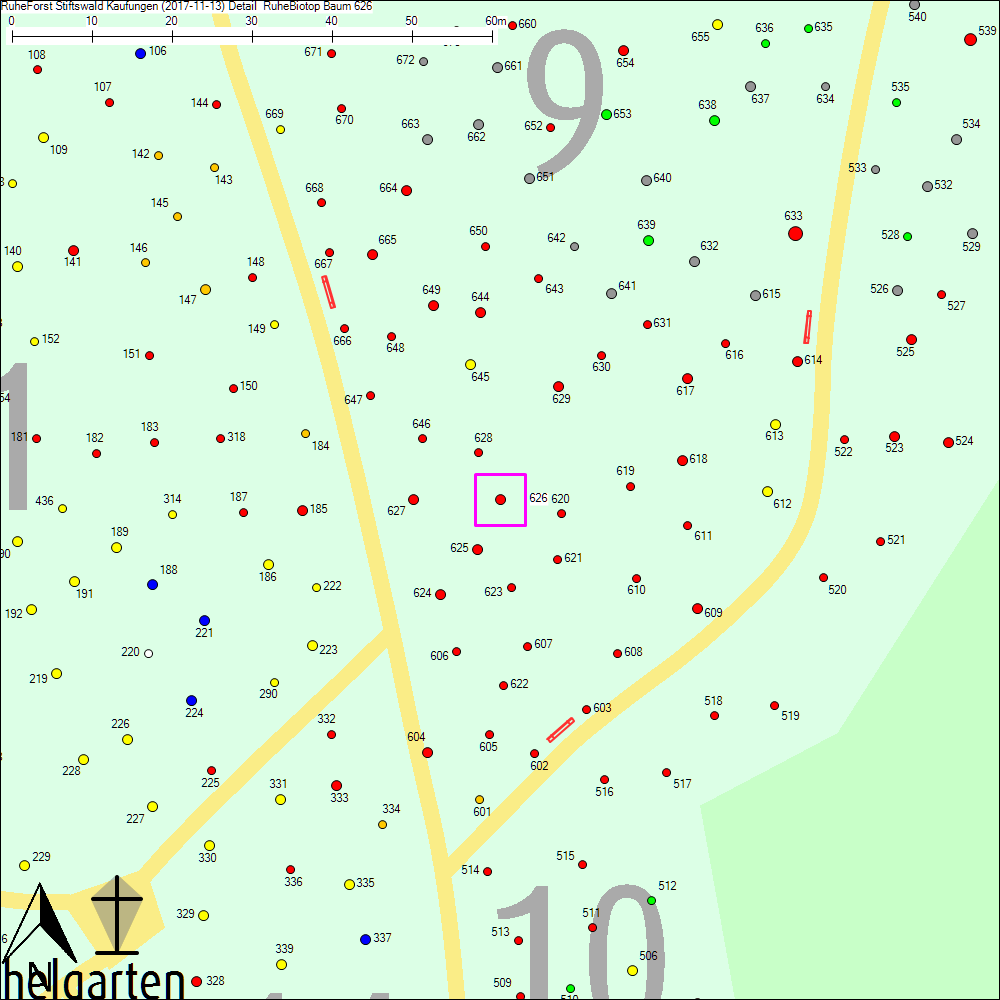 Detailkarte zu Baum 626