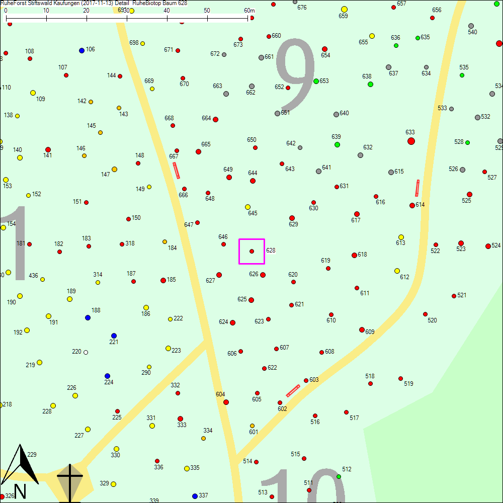 Detailkarte zu Baum 628