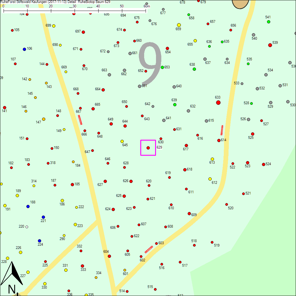 Detailkarte zu Baum 629