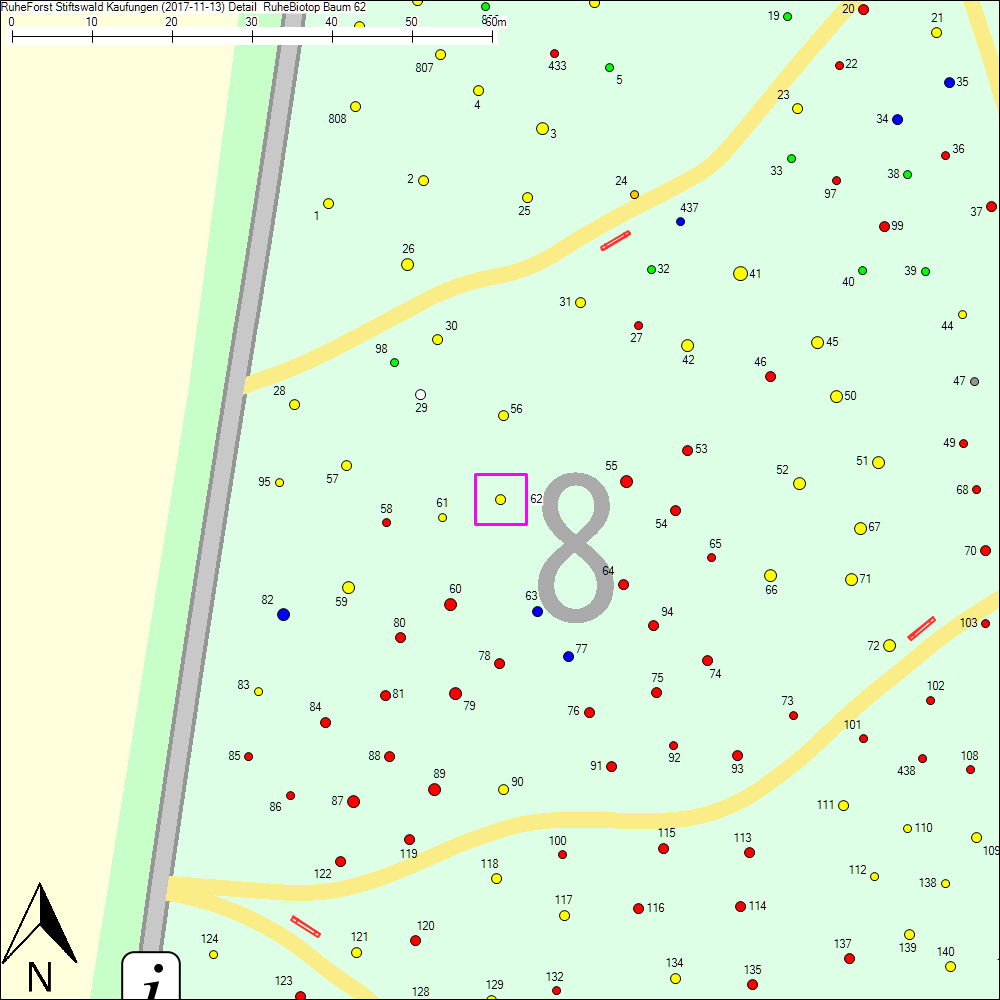 Detailkarte zu Baum 62