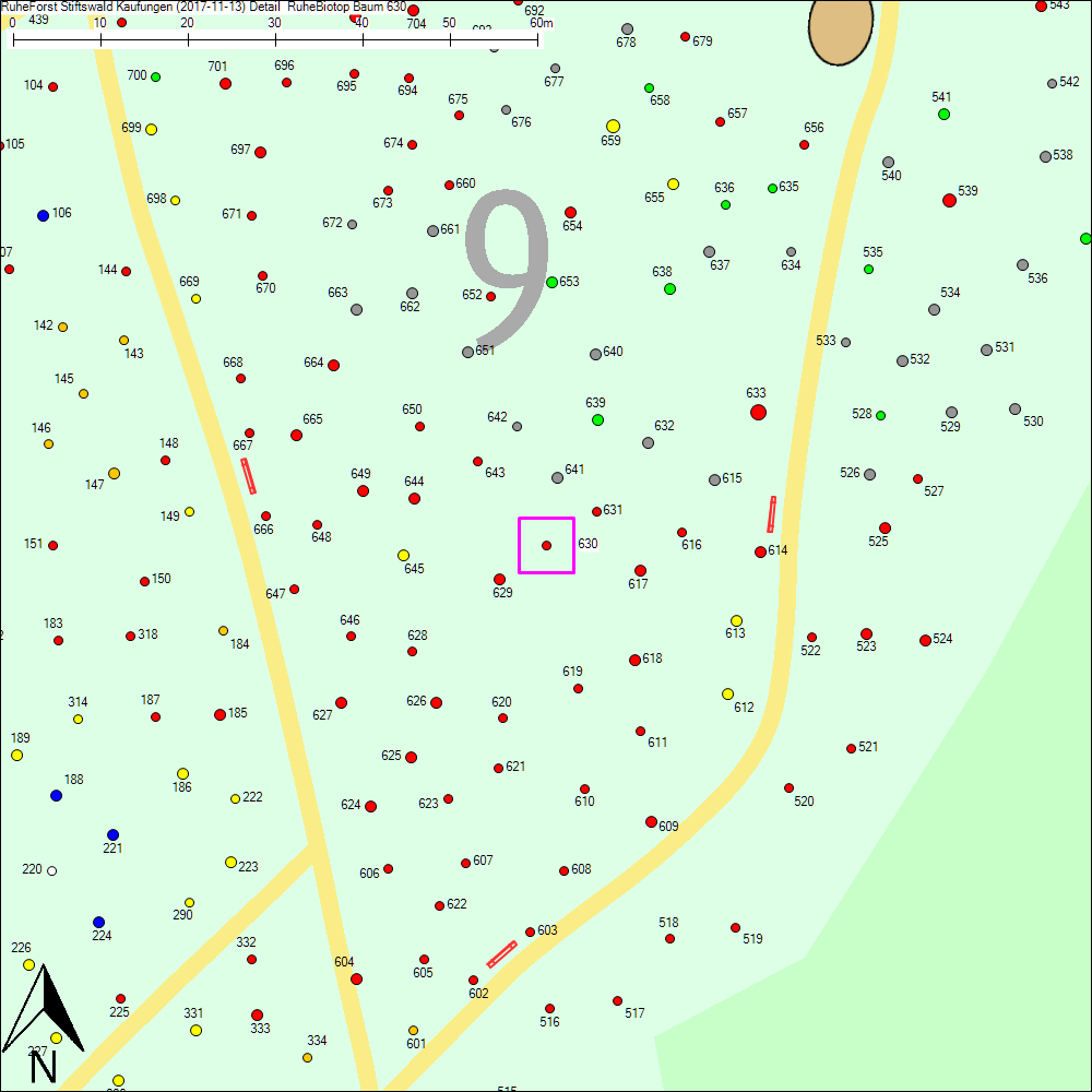 Detailkarte zu Baum 630