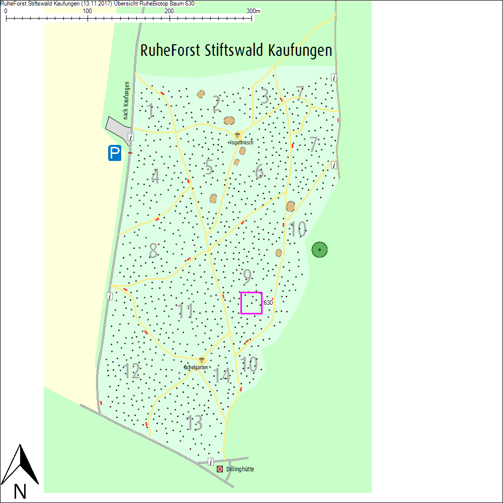 &Uuml;bersichtskarte zu Baum 630
