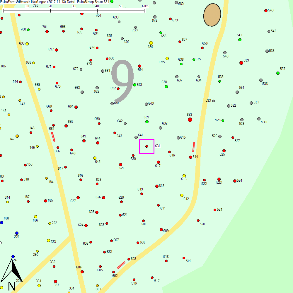 Detailkarte zu Baum 631