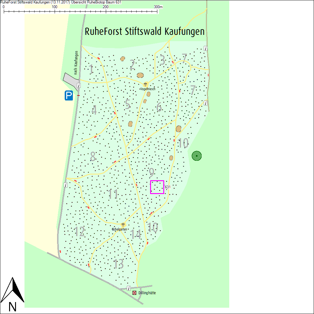 &Uuml;bersichtskarte zu Baum 631