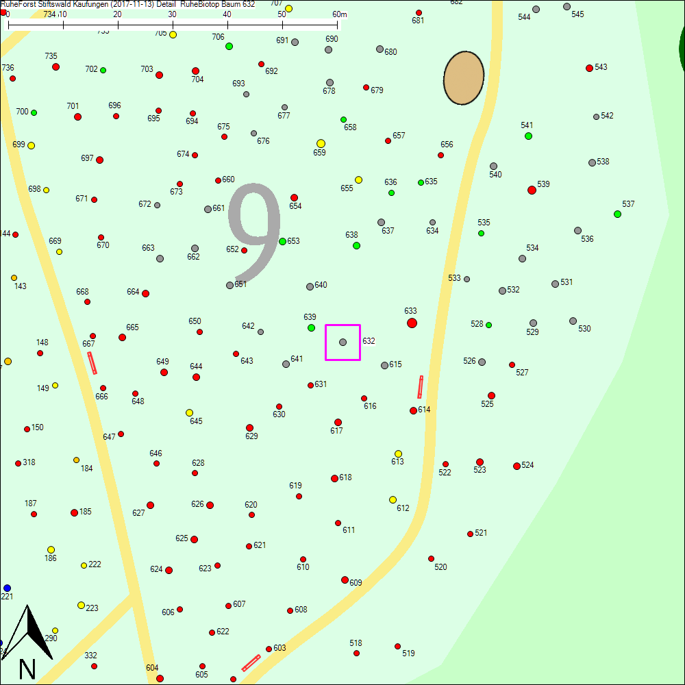 Detailkarte zu Baum 632
