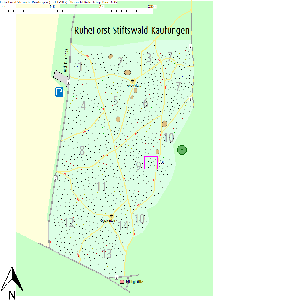 &Uuml;bersichtskarte zu Baum 636