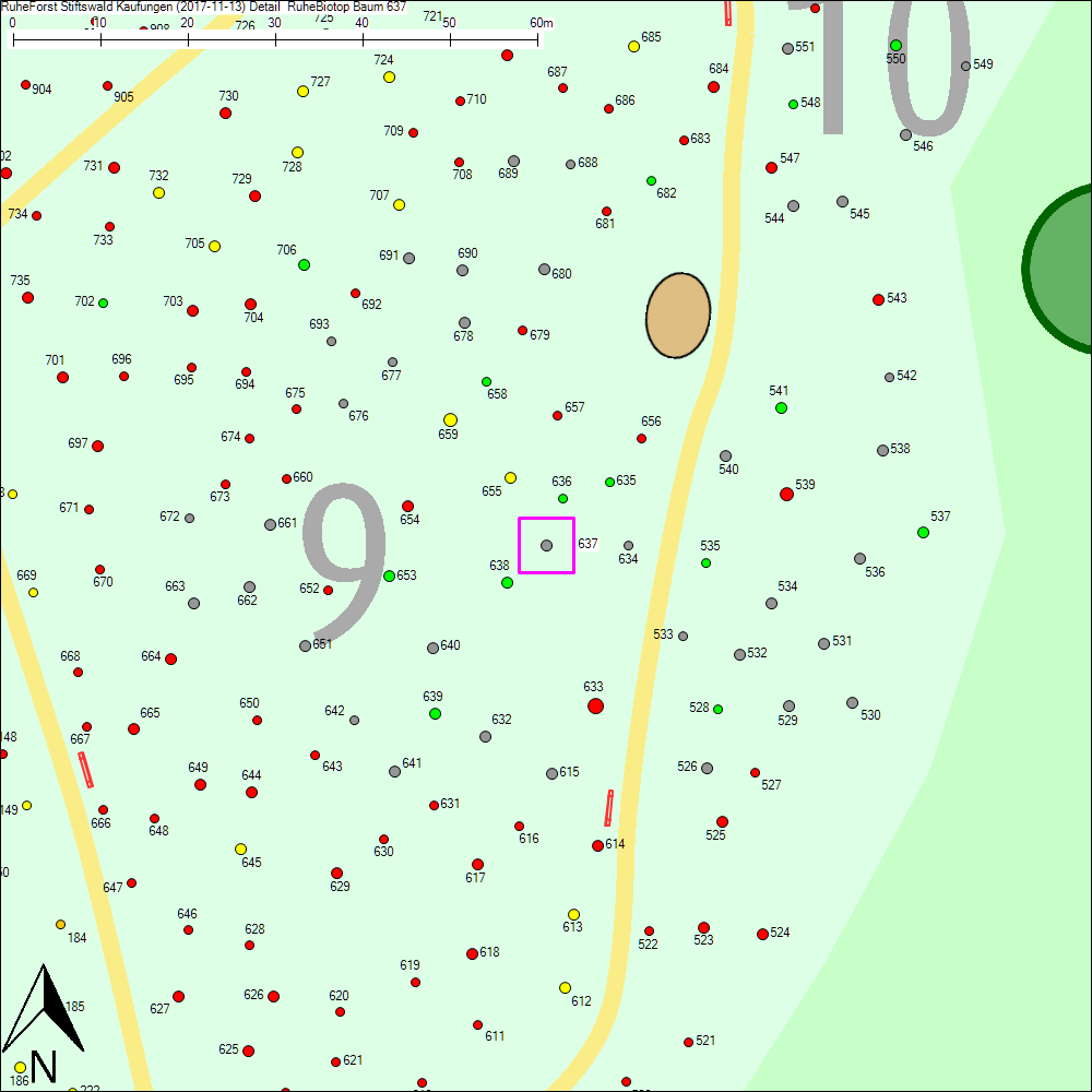 Detailkarte zu Baum 637