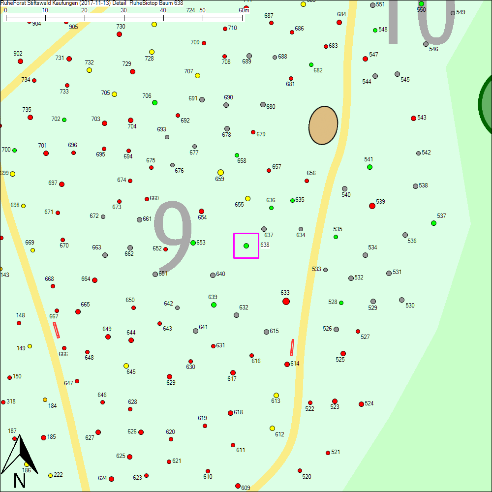 Detailkarte zu Baum 638