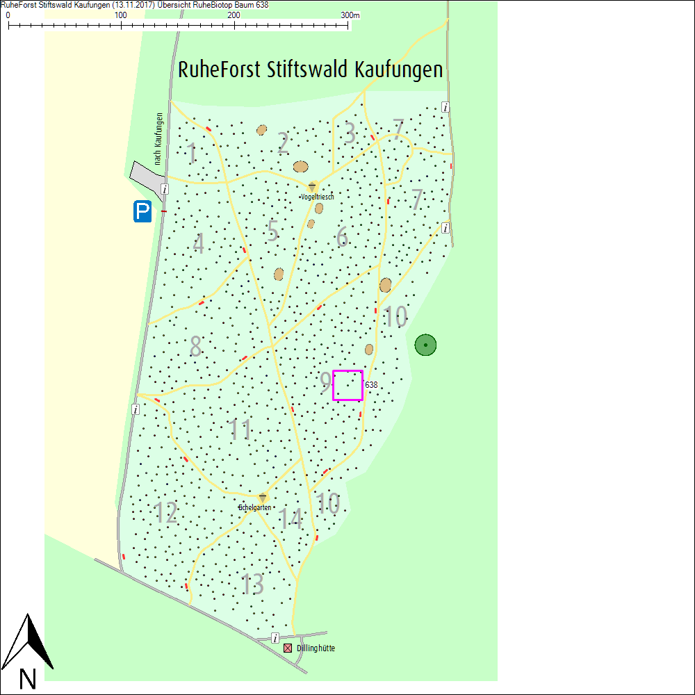 &Uuml;bersichtskarte zu Baum 638