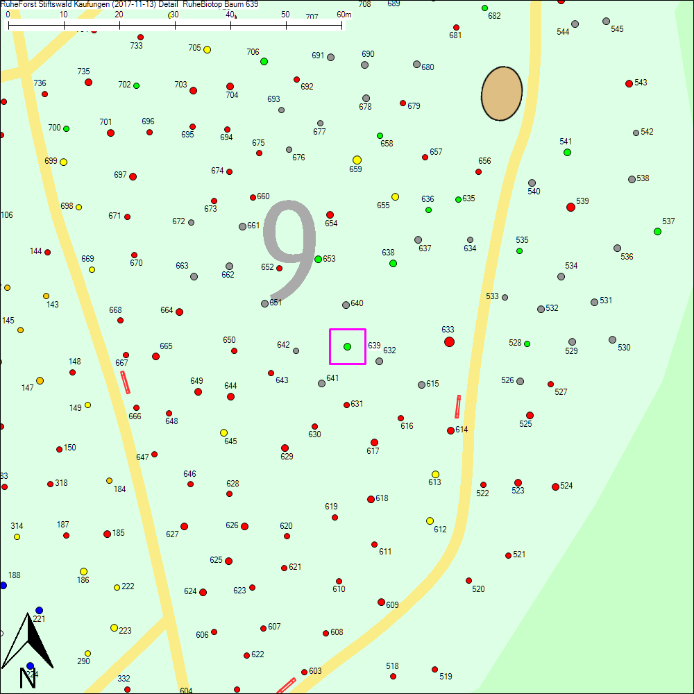 Detailkarte zu Baum 639