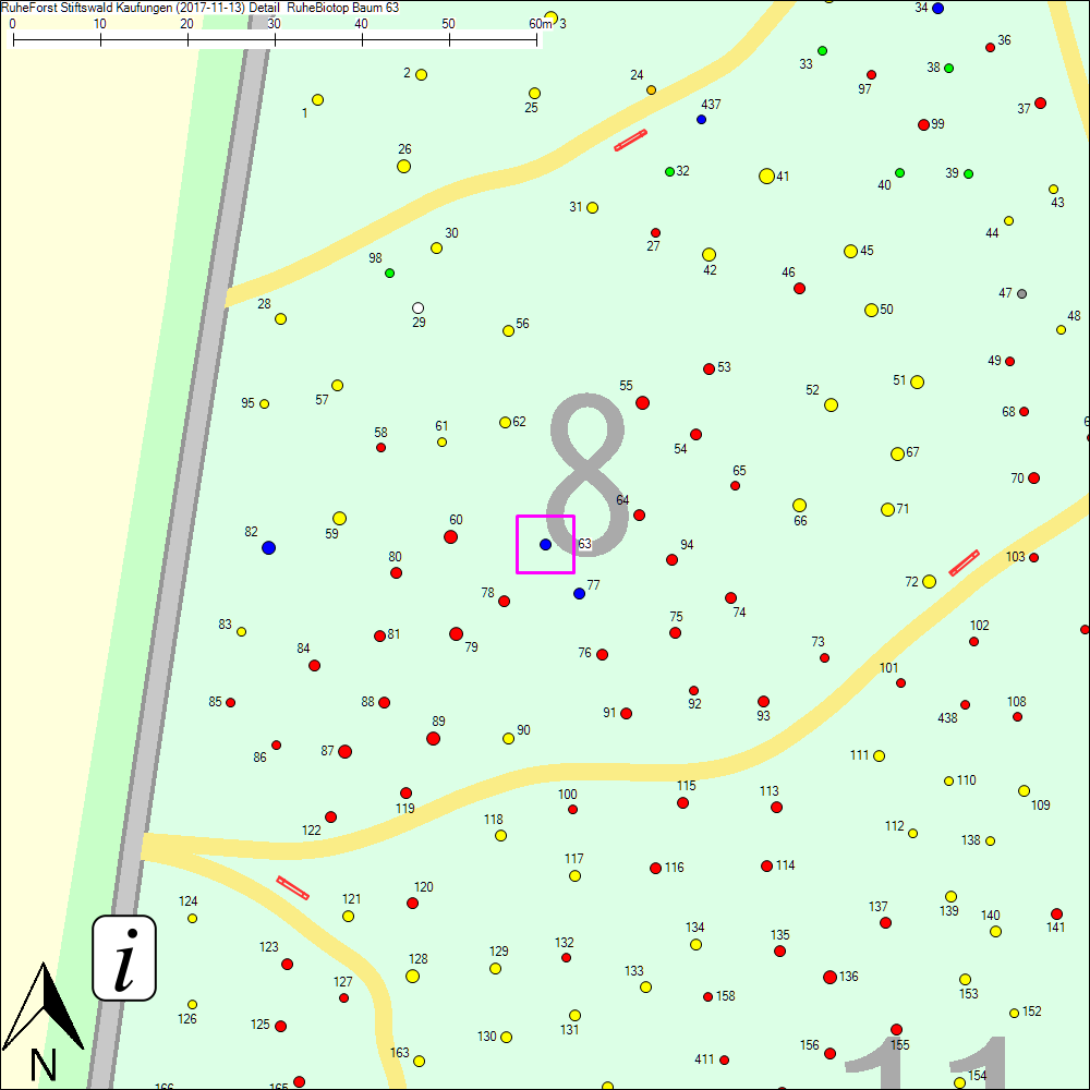 Detailkarte zu Baum 63