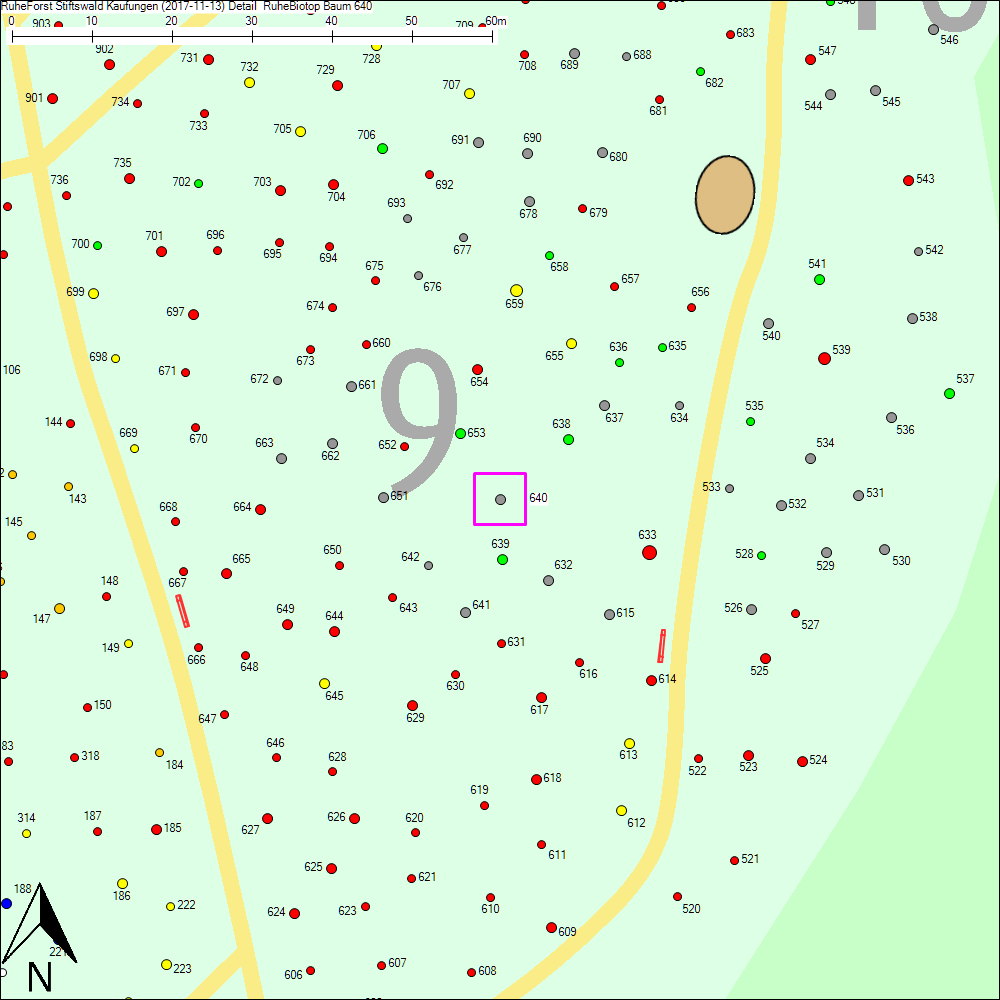 Detailkarte zu Baum 640