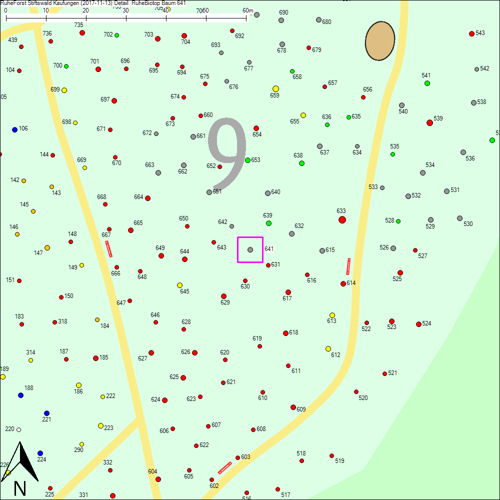 Detailkarte zu Baum 641