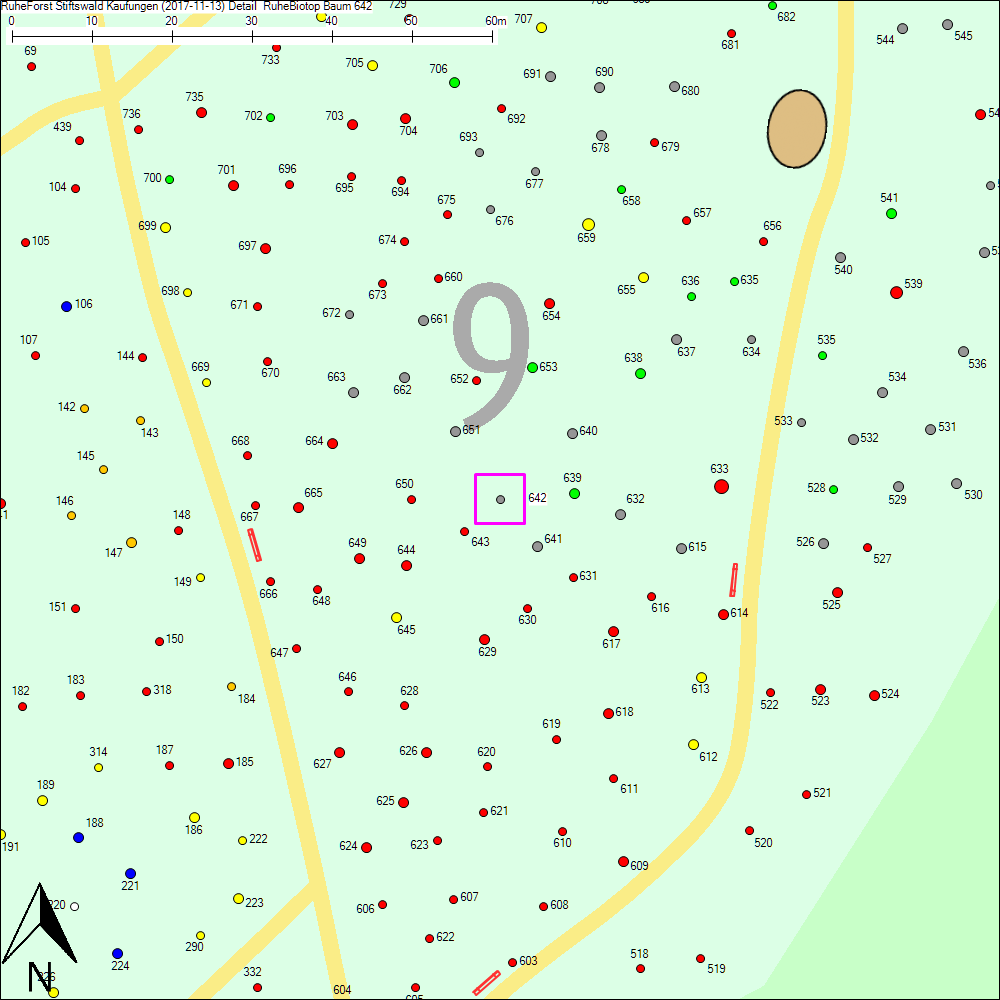 Detailkarte zu Baum 642