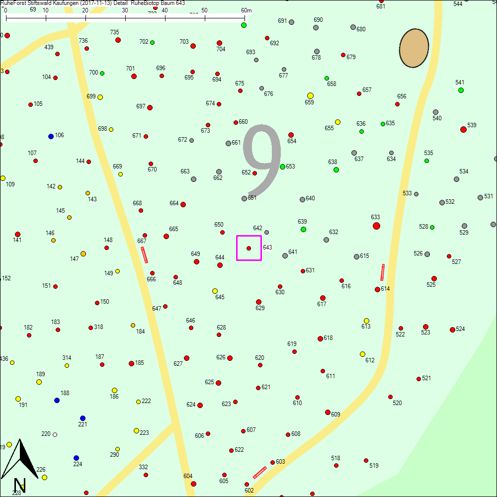 Detailkarte zu Baum 643