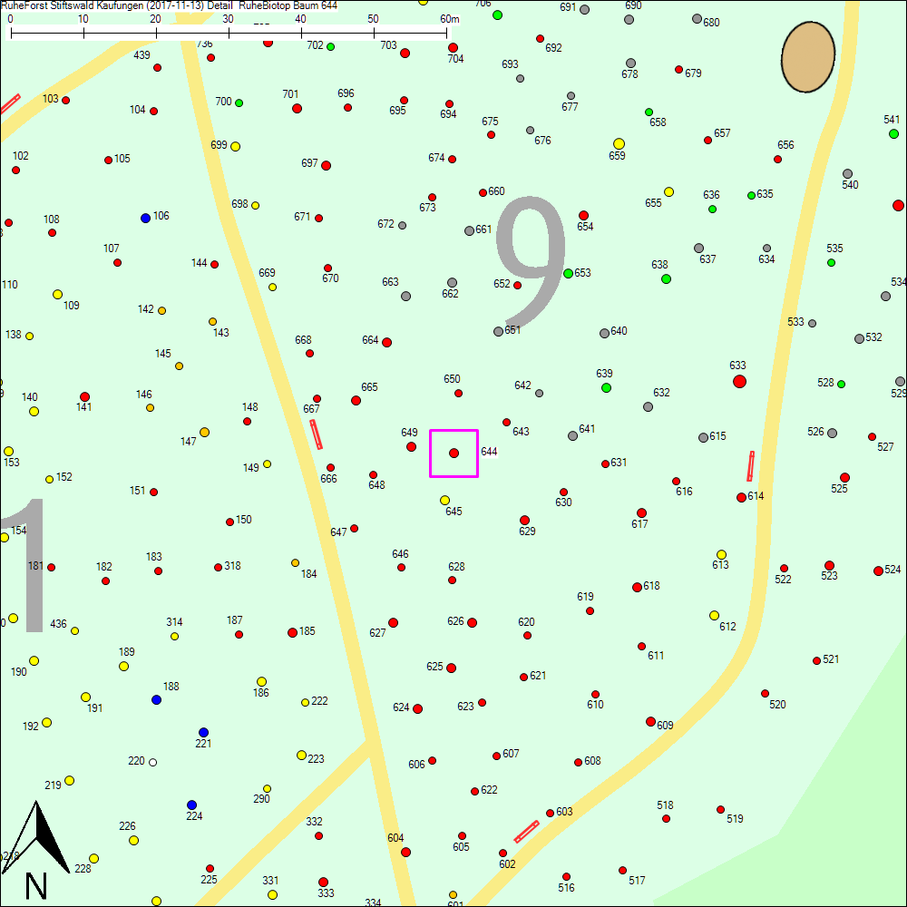 Detailkarte zu Baum 644