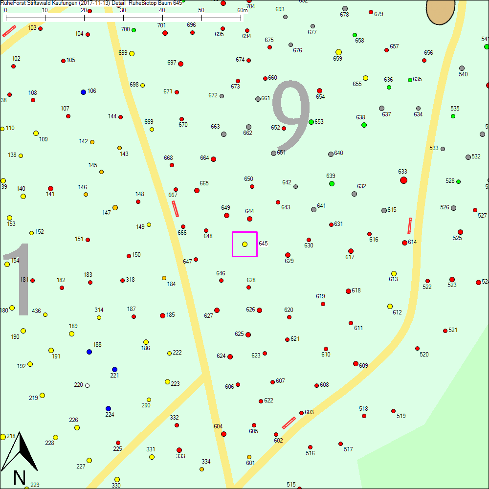 Detailkarte zu Baum 645