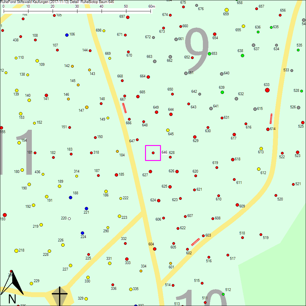 Detailkarte zu Baum 646