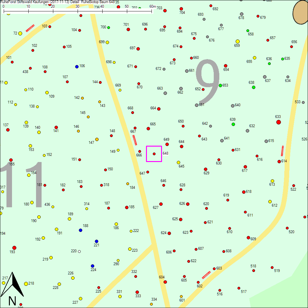 Detailkarte zu Baum 648