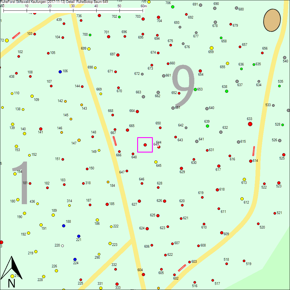 Detailkarte zu Baum 649